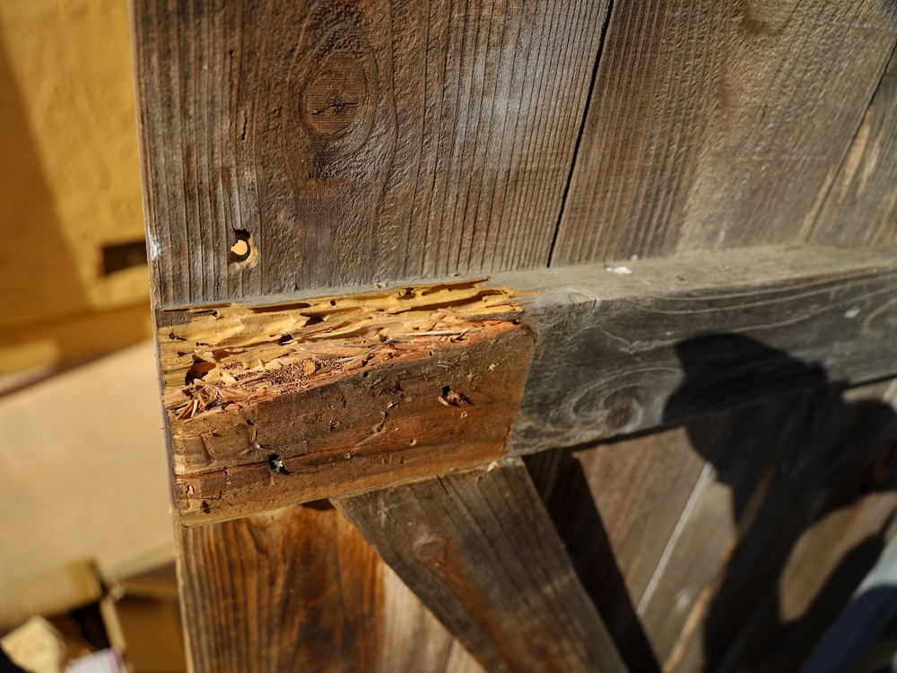 How Much Does Fence Repair Cost in Port Orchard, WA?